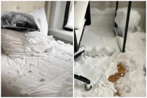 Đi chơi quên đóng cửa sổ, cô gái nhận cái kết dở khóc dở cười