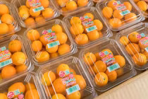 Mua quất Nhật 2 triệu đồng/kg về làm mứt ăn Tết cho sang chảnh