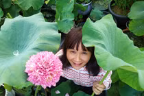 Bí quyết trồng sen xứ lạnh của bà mẹ Việt giữa lòng Châu Âu