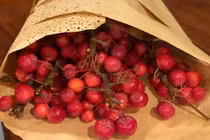 Chị em "phát sốt" với các loại hoa siêu lạ xuất hiện dịp 20/10