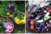 Đủ loại hoa trái siêu độc trong khu vườn 500 m2 của bà mẹ 4 con