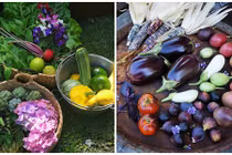 Đủ loại hoa trái siêu độc trong khu vườn 500 m2 của bà mẹ 4 con