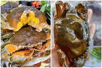 Sự thật đằng sau cua lột hơn 20.000 đồng/con bán đầy chợ mạng