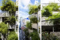 Ngắm nhà trồng tre đẹp như tranh vẽ ở TP HCM