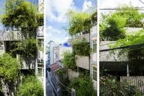 Ngắm nhà trồng tre đẹp như tranh vẽ ở TP HCM