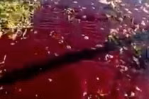 Mặt đất như nhuộm máu sau trận động đất 6,8 độ 