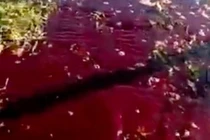 Mặt đất như nhuộm máu sau trận động đất 6,8 độ 