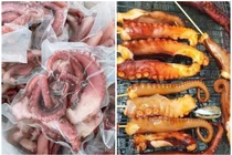 Sự thật đằng sau râu bạch tuộc khổng lồ giá rẻ bán đầy chợ Việt