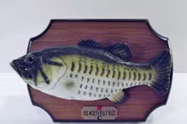 Bất ngờ giàu to, kiếm cả tỷ đô nhờ những ý tưởng kinh doanh bị chê ngớ ngẩn