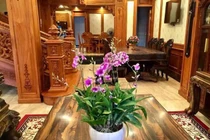 Choáng ngợp loạt biệt thự phủ gỗ tiền tỷ của đại gia Việt