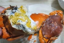 Loại cua giá gấp đôi bình thường, giới nhà giàu săn lùng có gì hot?