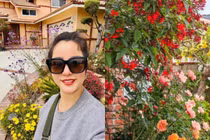 Khu vườn đẹp như tranh vẽ trong biệt thự của danh hài Thuý Nga 