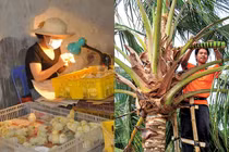 Khó tin nghề trả lương cao ngất ở Việt Nan vẫn thiếu người làm