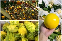 Hết thời hoàng kim, loại quả sang chảnh nào rớt giá? 