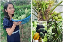 Nhà vườn 2.500m2 của nữ hoàng ảnh lịch đình đám một thời 