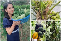 Nhà vườn 2.500m2 của nữ hoàng ảnh lịch đình đám một thời 