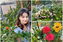 Mê mẩn khu vườn ngập tràn hoa hồng trong nhà Vũ Thu Phương
