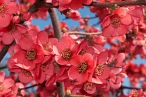 Trời sinh 5 con giáp tài giỏi và có EQ đỉnh cao, làm việc gì cũng thành công