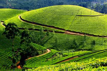 Hàng không 30/4-1/5 cháy vé, dân thủ đô tìm tour trốn phố lên rừng