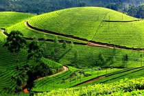 Hàng không 30/4-1/5 cháy vé, dân thủ đô tìm tour trốn phố lên rừng