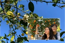 Hé lộ khu vườn bên trong ngôi nhà tại Mỹ của Phương Thảo - Ngọc Lễ