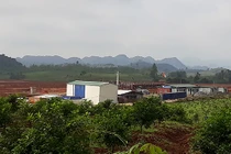 Dự án chăn nuôi nghìn tỷ của Masan tại Nghệ An bị “tuýt còi"