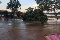 Lốc xoáy làm hàng trăm ngôi nhà ở Đắk Lắk sập và tốc mái