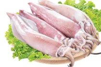 Chuyên gia chia sẻ cách chọn mực và bạch tuộc tươi ngon không bị tẩy trắng