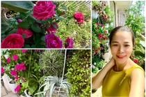 “Đã mắt” vườn ban công nở hoa 4 mùa trong nhà ca sĩ Mỹ Lệ