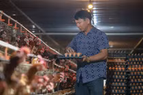 Bí mật "cỗ máy nhả vàng" giúp lão nông thu 12 tỷ/năm