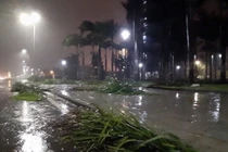 ​Các khu vực trên cả nước đêm mưa dông, ngày nắng, có nơi nắng nóng