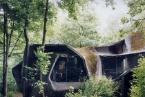 Thích thú những ngôi nhà độc đáo giữa rừng xanh