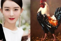 Số trời đã định: 3 con giáp có căn phú quý, thời tới muốn nghèo cũng khó