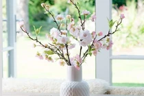 Trưng hoa đào ở đâu chuẩn nhất để nhà bừng sáng sức xuân?