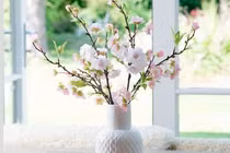 Trưng hoa đào ở đâu chuẩn nhất để nhà bừng sáng sức xuân?