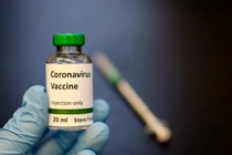 Việt Nam bước đầu tiêm thử nghiệm vắc xin phòng COVID-19 trên chuột