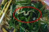Để rắn chui vào bát mỳ của khách, nhà hàng bị đóng cửa