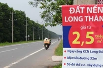 Liều mình ôm đất vài năm sau nhà giàu Hà Nội thắng lớn chục tỷ đồng