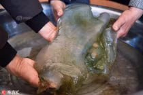 Đổi đời sau một đêm: Kho báu hàng chục tỷ ẩn mình ở nơi chẳng ngờ