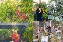 Xuýt xoa vườn cây trái ăn quanh năm của sao Việt trên đất Mỹ