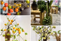 5 cành quả cắm bình đang “làm mưa làm gió” trên thị trường