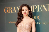 Cựu Phó GĐ Chi nhánh TPBank bị khởi tố: Kinh doanh TMV Botica trái phép?