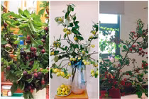 Trái cây rừng nguyên cành “giá chát” hút chị em Hà thành