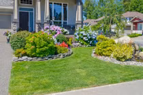 Ngây ngất những sân vườn phủ đầy hoa như trong cổ tích