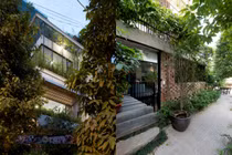 Ngỡ ngàng nhà phố như “rừng cây” xanh mát giữa lòng Hà Nội