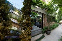 Ngỡ ngàng nhà phố như “rừng cây” xanh mát giữa lòng Hà Nội