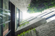 Mãn nhãn ngôi nhà như “thiên đường xanh ngát” giữa phố thị đông đúc