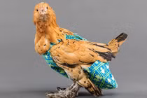 Sản xuất bỉm cho gà và chim: Nghề lạ kiếm tỷ đồng cho người tỉ mỉ 