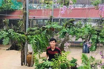 Mãn nhãn vườn lan "khủng" trị giá tiền tỷ của các 9X Việt