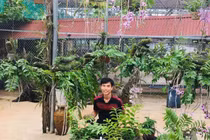 Mãn nhãn vườn lan "khủng" trị giá tiền tỷ của các 9X Việt